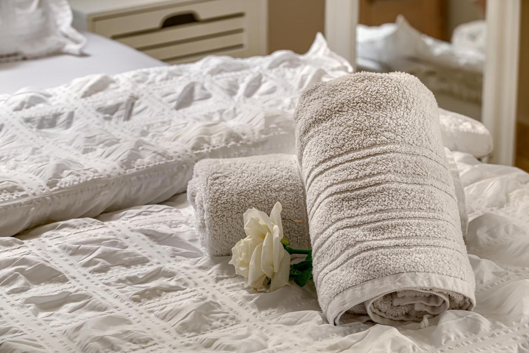 Sika Palladium Garden & Spa Central Apartment Arad Zewnętrze zdjęcie
